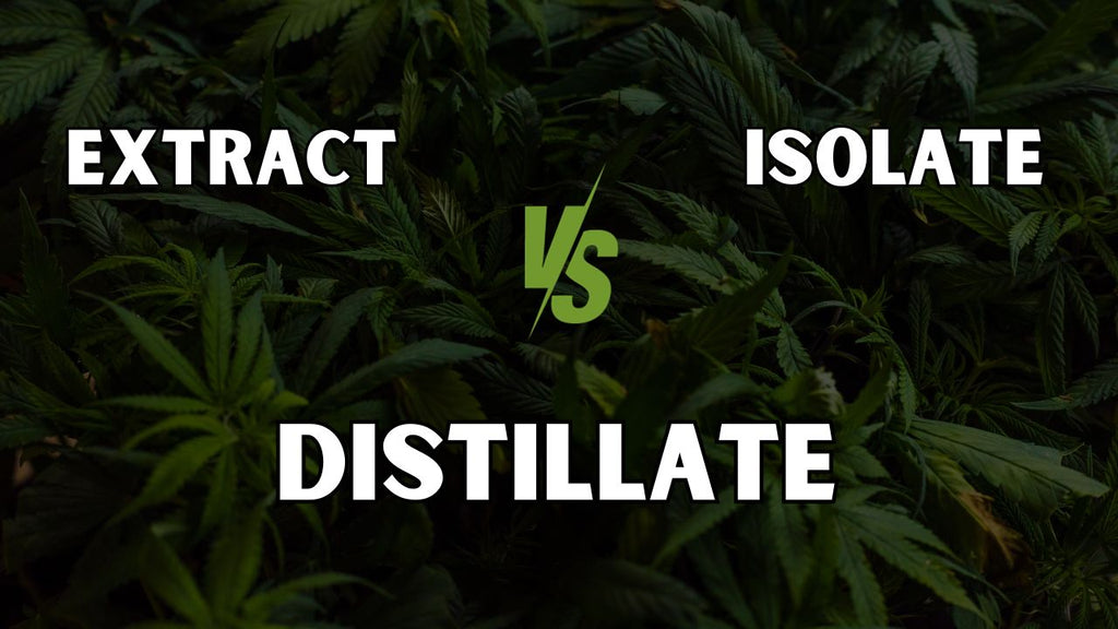 Extract vs Isolate vs Distillate